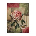 Trademark Fine Art Lisa Audit 'Rose and Butterfly' Canvas Art, 14x19 ALI24996-C1419GG